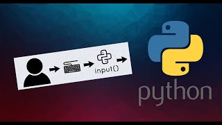 Python Programming Basics: User Input
