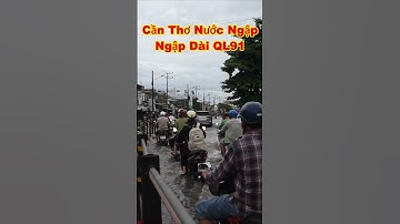 CẦN THƠ NƯỚC NGẬP TẠI QUỐC LỘ 91 nước năm nay lên rất cao #shorts