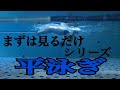 【平泳ぎ】イメトレ用！水中映像