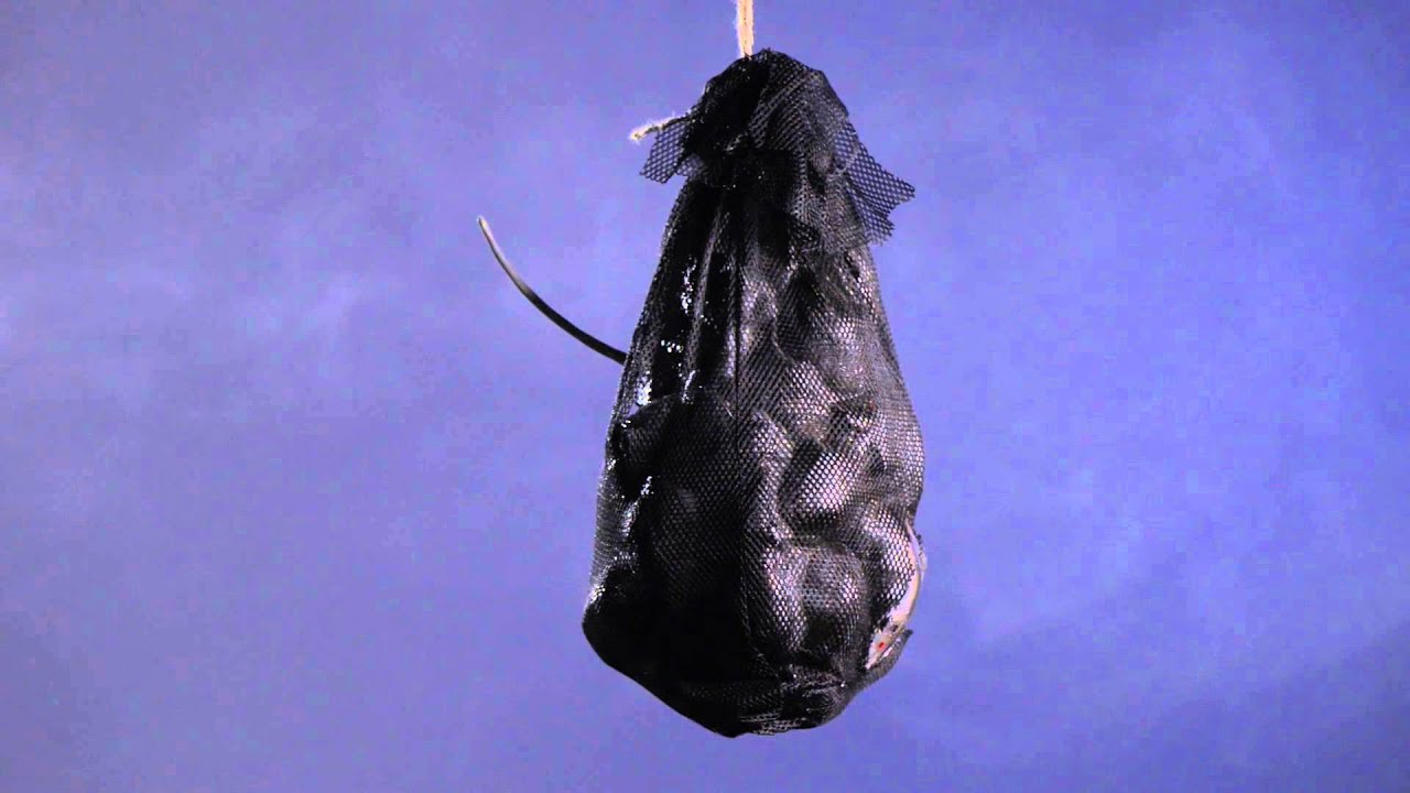 Bag of Rats | Halloween Decorations | Shindigz
