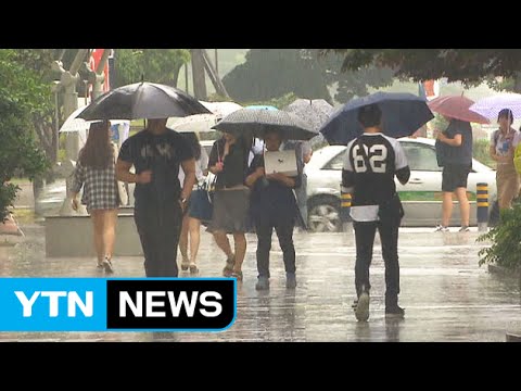 [날씨] 강원·충청 이남 장맛비...내일 전국 확산 / YTN