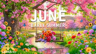 Serene Nature 4K – June Garden Morning 🌿Blooming Flowers, Quiet Gardens & Soft Sunlight screenshot 3