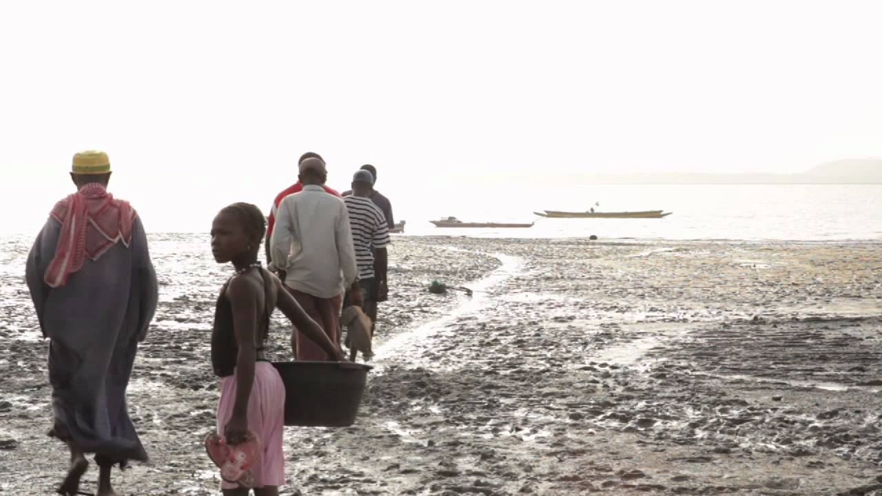 Os donos do Chao Nalu 2012