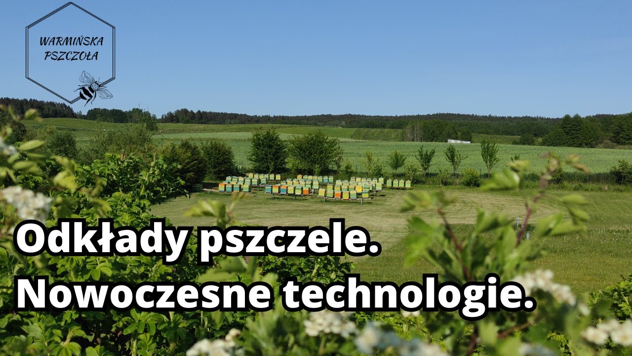 Odkłady pszczele - nowoczesne technologie
