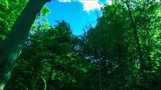 1280x720 anti-aliasing problems