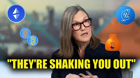 he REAL Reason Crypto Prices Are CRASHING - Cathie Wood