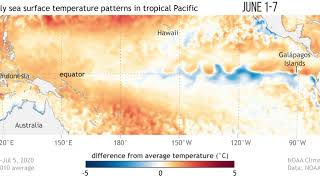 Cool waters emerge across tropical Pacific in May and June 2020
