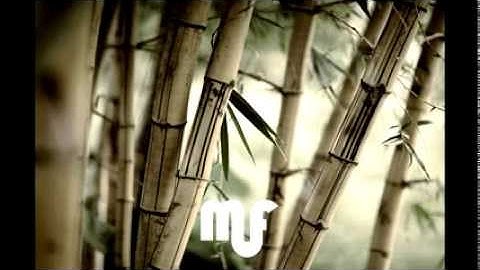 Tame Impala - "Alter Ego"