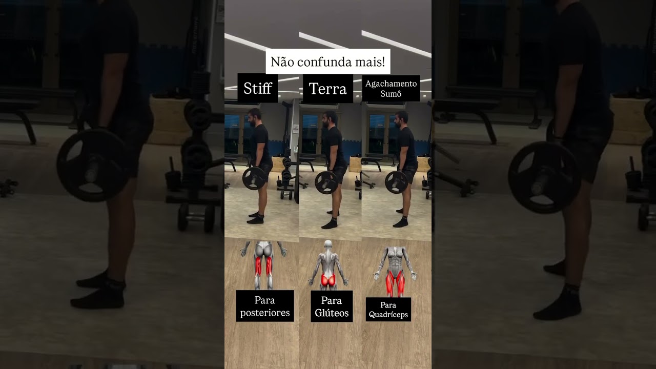 Terra x sumo x stiff