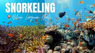 Snorkeling Blue Lagoon Bali - Unveiling the Hidden Wonders of Padang Bai, Bali (2023)