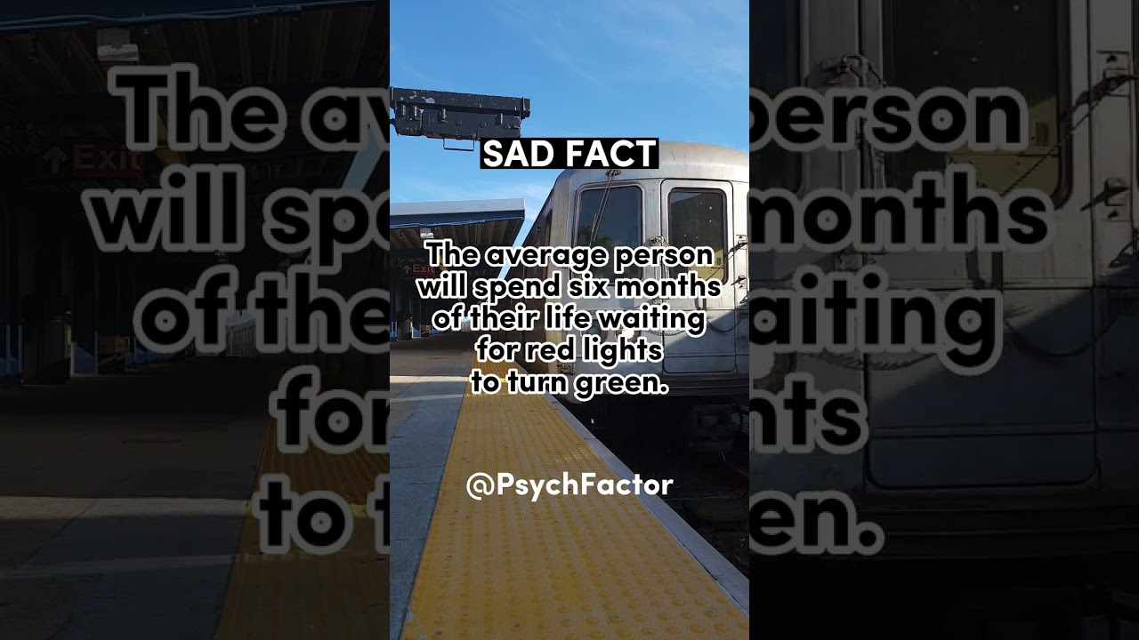 Stop Wasting Your Life at Red Lights 