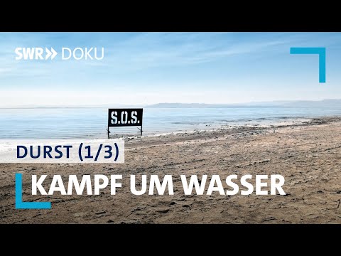 Video: Warum ist der Zusammenhalt im Wasser wichtig?