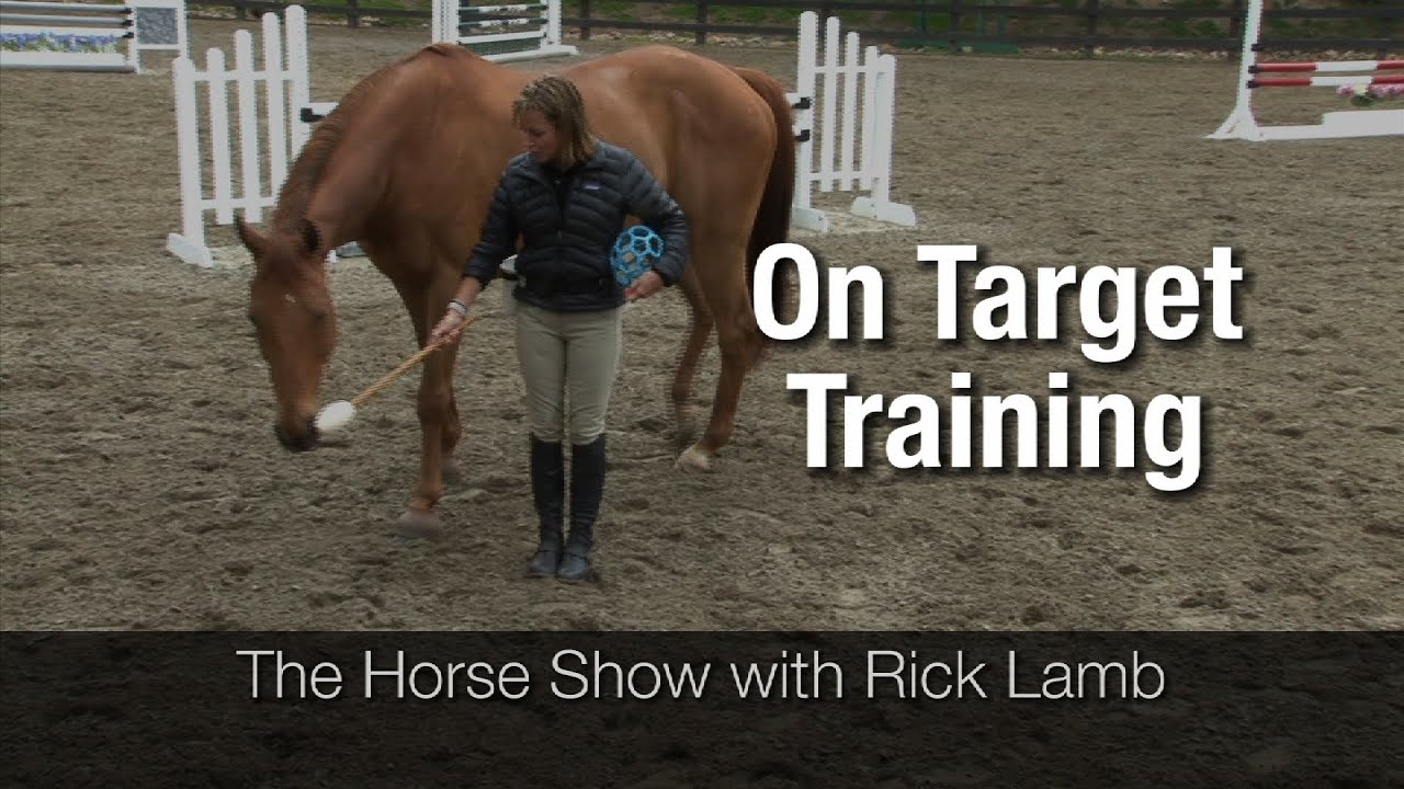 On Target Training - YouTube