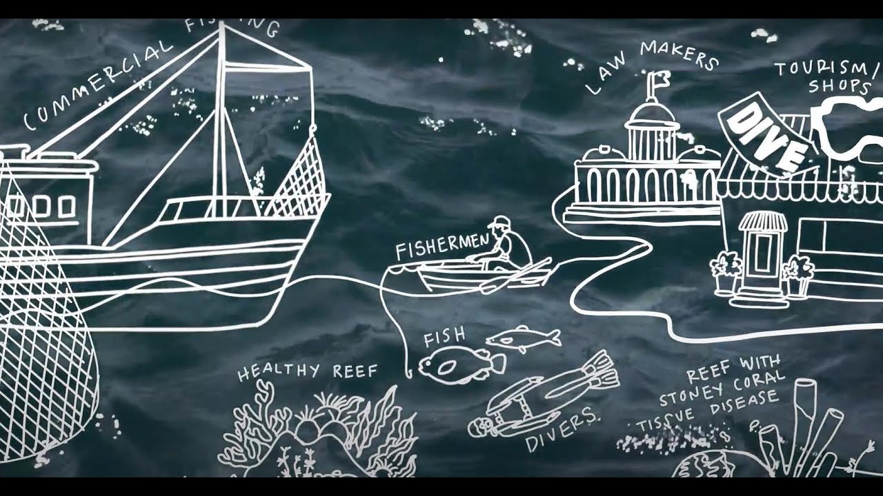 Strong Coasts - Interdisciplinary Community-Engaged Project in the Florida Reef Tract.