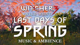 Last Days of Witcher 3 Spring | Emotional and Relaxing Soundtrack &amp; Ambience | Study/Focus/Sleep