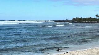 Kohanaiki Beach Park- Pine Trees Beach in Kona Hawaii