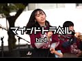 【ライブ映像】マインドトラベル/Bird【獨協大学SingingClub】