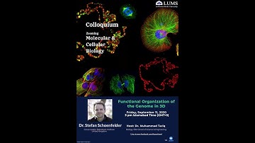 Functional organisation of the genome in 3D by Dr Stefan Schoenfelder