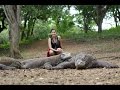 Komodo Island Natural wonder of the world