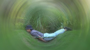 2023 Performance Art "Instinctive Impulse" Series Total