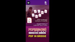 Convert various Image files into PDF in Adobe Bridge Very Simple