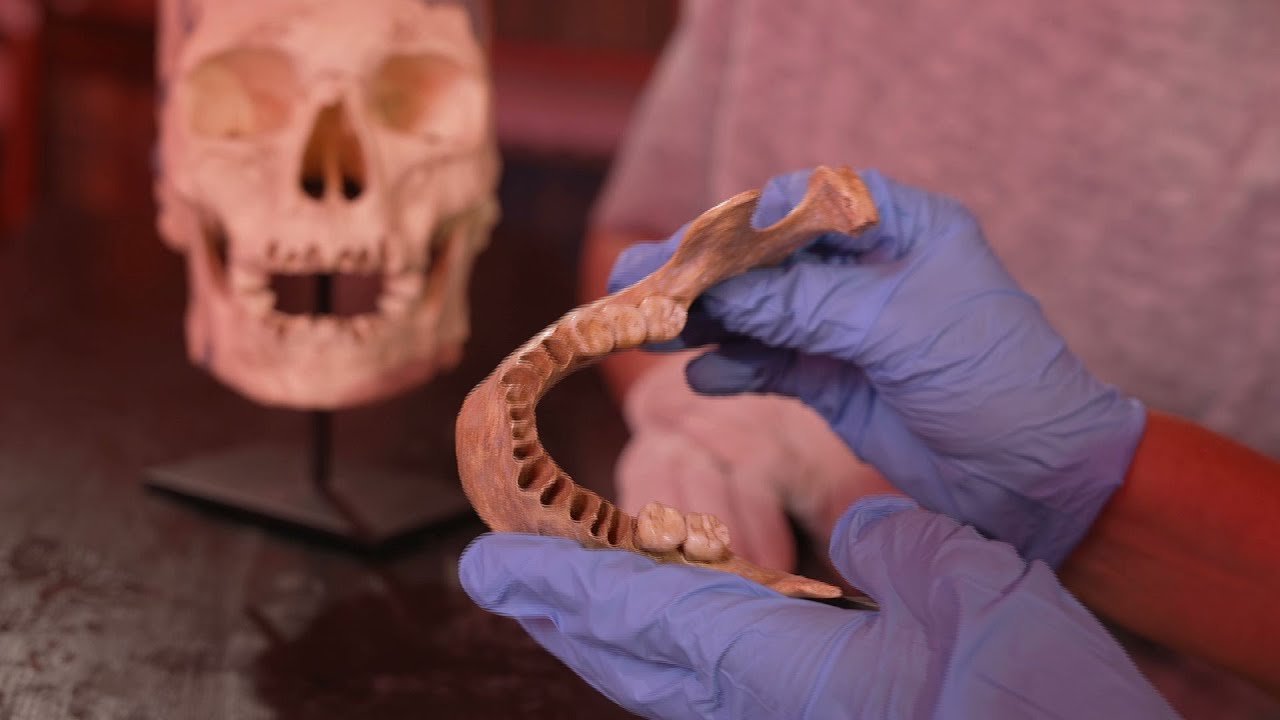 Istorii ascunse: România - leagănul primilor europeni | a doua parte (@TVR1)