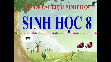 Sinh học 8 bài 39 bài tiết nước tiểu