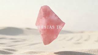 Noelia Franco - Si estás tu (Visualizer)