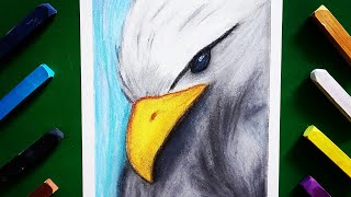 How to Draw an Eagle. with soft pastel colour.... screenshot 5
