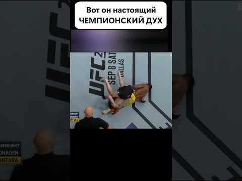 99% Бойцов СДАЛИСЬ бы в этой ситуации #shorts