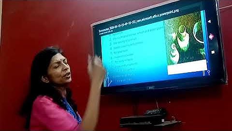 S.s.t chapter-2 (class V)