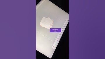 How I Outline Stickers in Procreate #dibujodigital #shorts