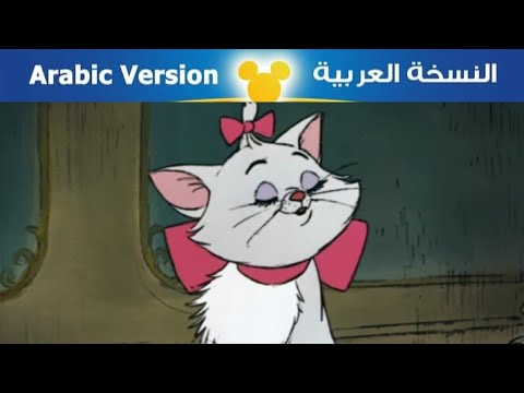 قطط ذوات أطلع سلم الموسيقى مصري