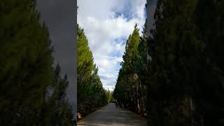 Download Lagu Indahnya alam wamena yg terpesona, Pugima City MP3