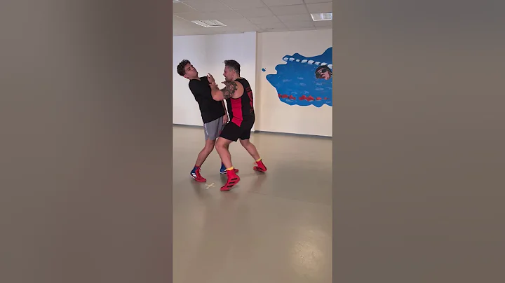 Techniktraining(...
