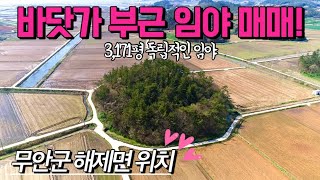 [전남임야매매] 매물번호#342 3,171평 바닷가 부근 임야 매매 ! 무안군 해제면 산길리 임야 시골땅 촌…