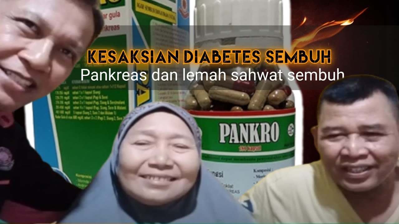 KESAKSIAN SEMBUH DARI DIABETES #35: Obat untuk memperbaiki pankreas