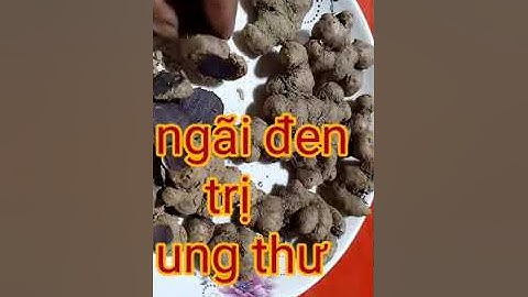 ngải đen - công dụng của ngải đen