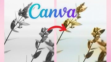 How To Colorize Any Black and White Pictures In Canva (Canva Beginners Guide) - 2025