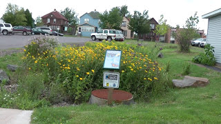 Green Infrastructure in Action: Rain Gardens at a Minnesota Courthouse
