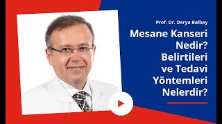 Mesane Kanseri Nedir? Belirtileri Ve Tedavi Yöntemleri Nelerdir? Prof. Dr. Derya Balbay Konuştukça