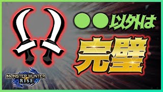 なぜ双剣はライズで使用率が2位まで爆伸びしたのか？【モンハンライズ/MHRise/リヴァイ/0時に寝る】