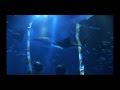 のとじま水族館「ジンベエザメ館　青の世界」プロモーション映像