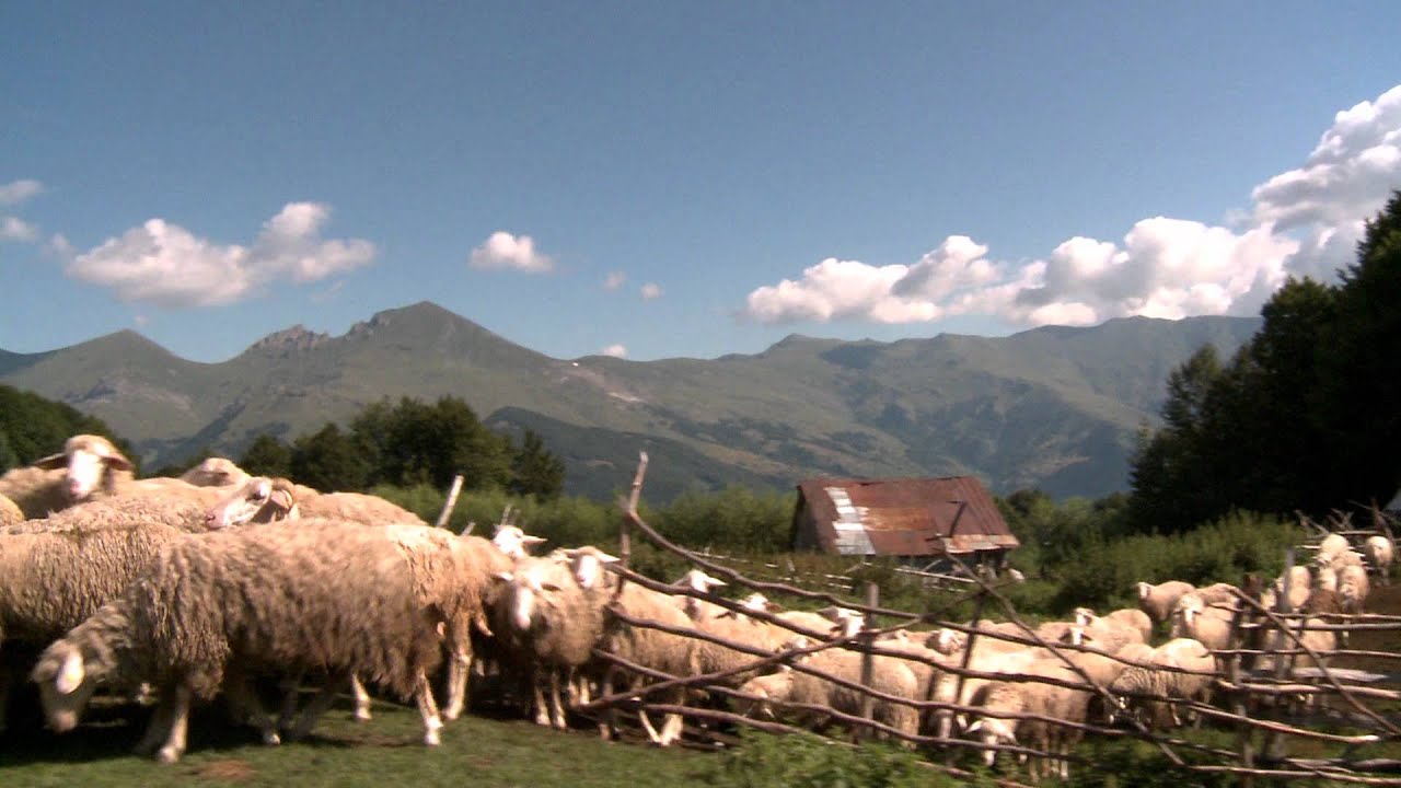 Një Rreze mbi Sharr #4 (Sunshine Over Sharr Mountain - Clip #4 Official)