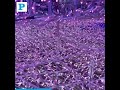 Aspire Wonderland Festival