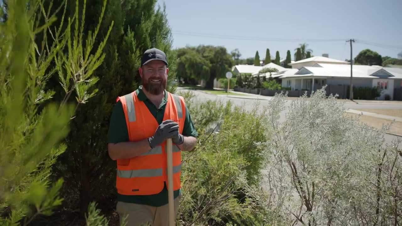 Waterwise verge garden