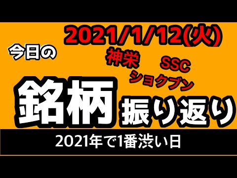【相場振り返りシリーズ#100】2021年1月12日(火)~2021年一渋い相場！？~