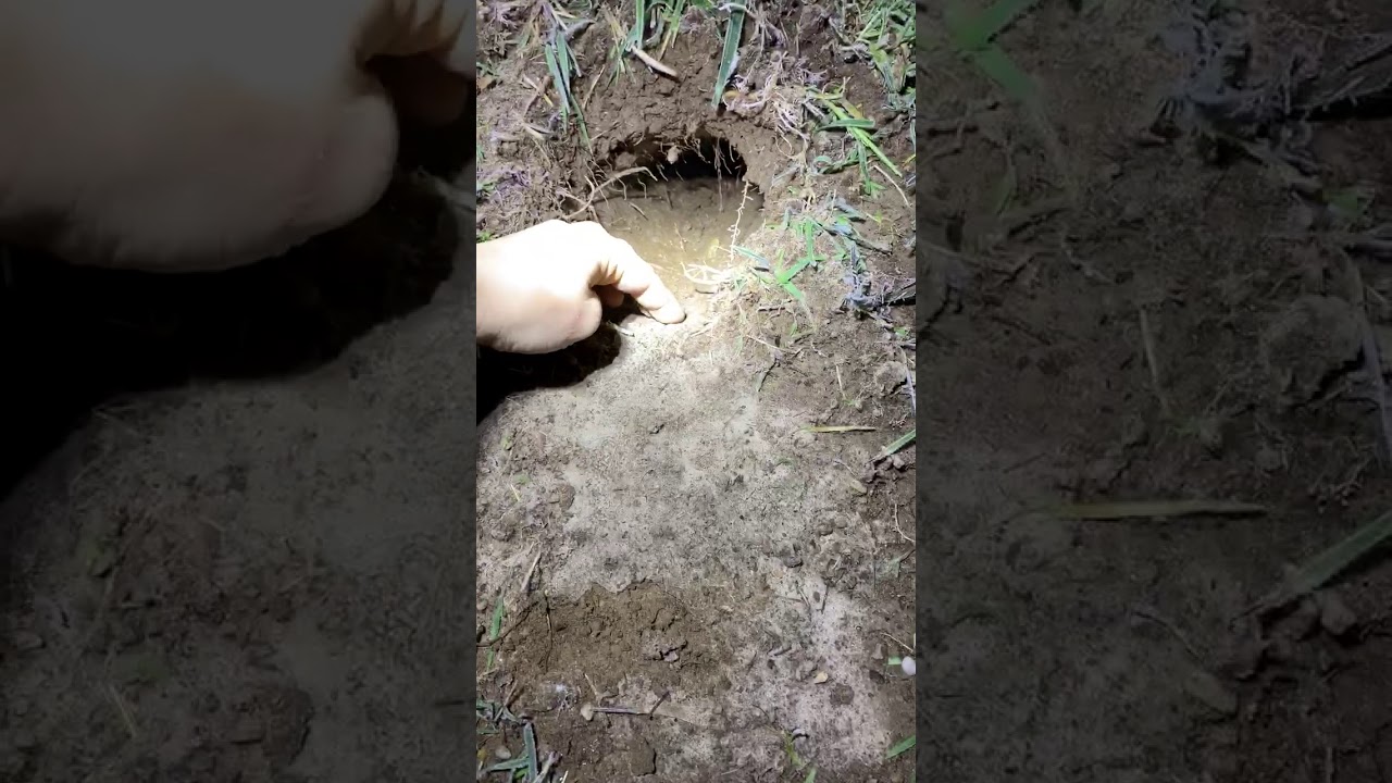 Example of Waxed Dirt - YouTube