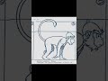 Animation References - monkey #Shorts