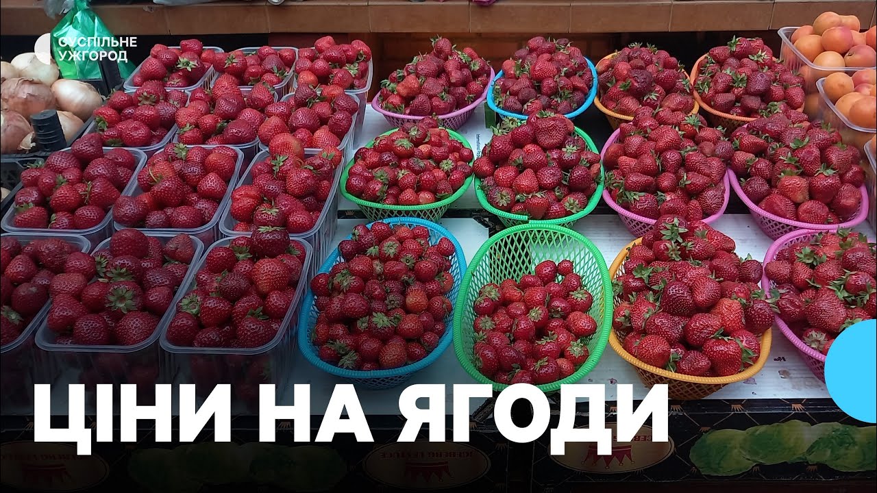 Сезон черешні і полуниці на ужгородських ринках. Яка ціна за кілограм